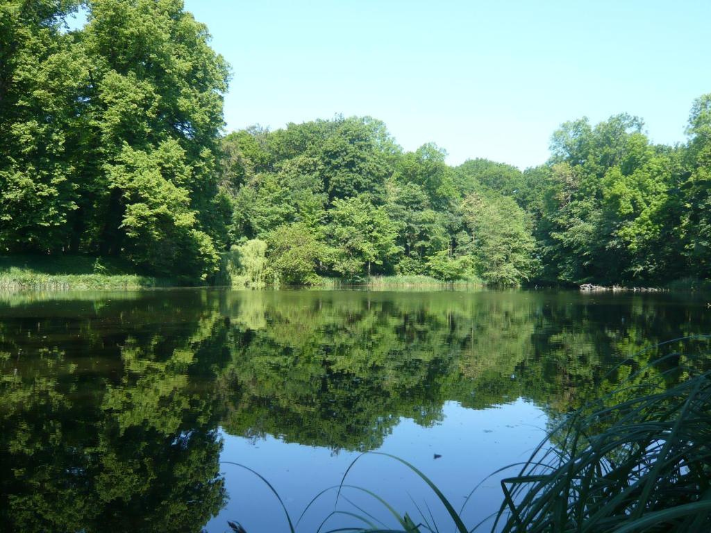 Carmina Am See 카르닌 외부 사진